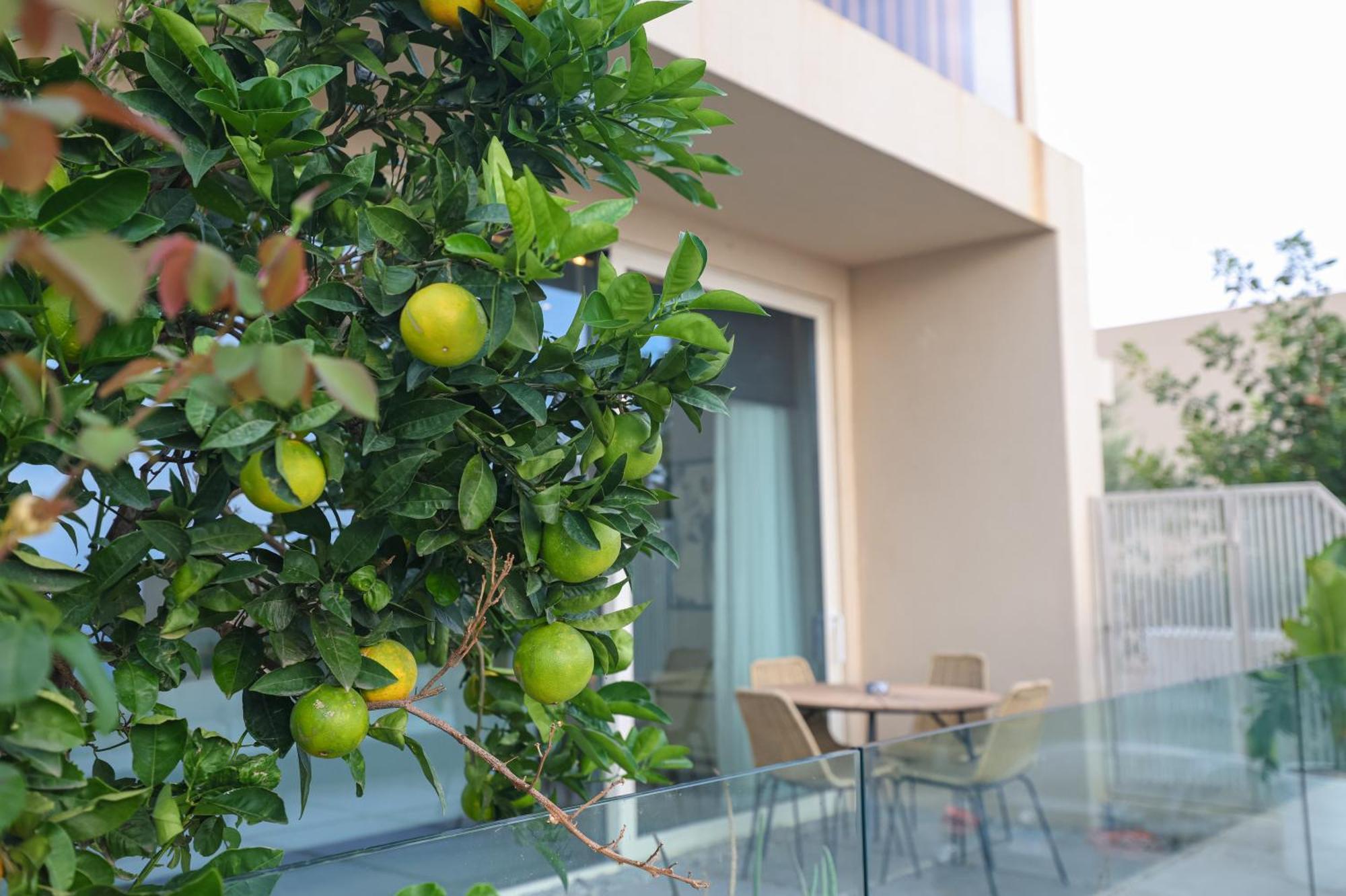 Green Coast Resort & Residences 94 Paljasa Exterior foto